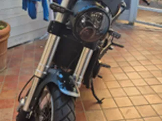 benelli leoncino 500 trail