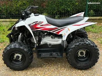 quad raptor 50 cc facture manuel