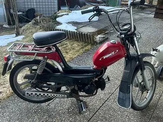 pony gtx canton berne -