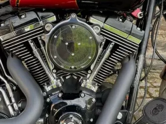 harley-davidson softail heritage classic flstc