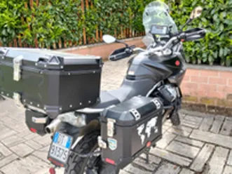 stelvio 8 v nxt perfetto