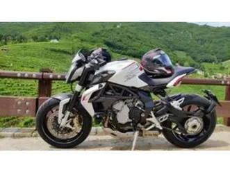 dragster 800 (2014 - 19)