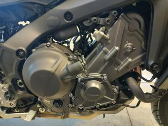 2024 yamaha tracer 9 gt+