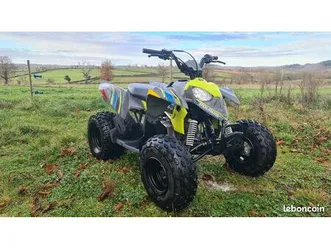 polaris 110 quad enfant