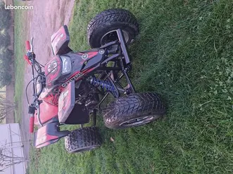 yamaha yfs 200 blaster