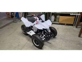 pocket quad 50 cc