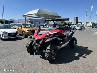 buggy z force 1000 sport