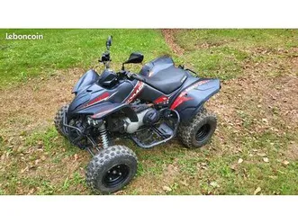 quad maxxer 300
