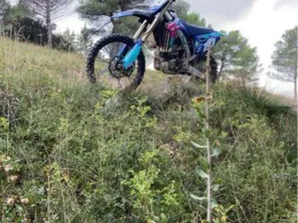 rmz 450