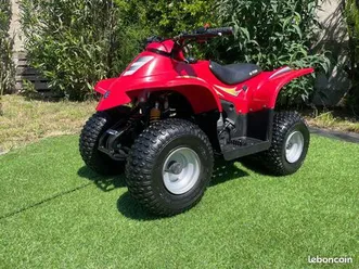 cadeau pour noël ? vrai quad e-ton 50 viper