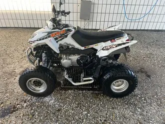 arctic cat dvx 300 atv quad