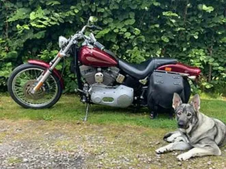 ringo månsson, tyringe