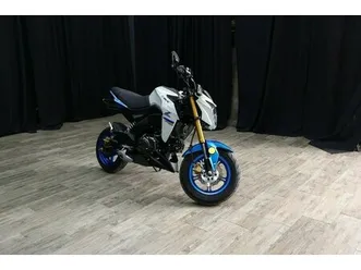 2022 kawasaki z125 pro