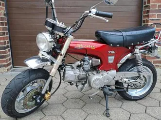 skyteam skymax pro 160/190 ccm