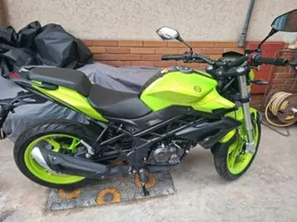 benelli bn 125 - 2021