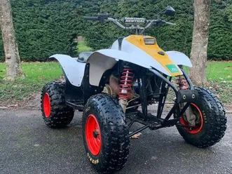 250 polaris