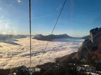 ducati scrambler 800