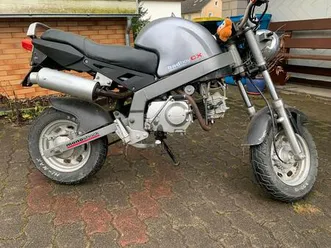 bad boy cx 50, pbr skyteam