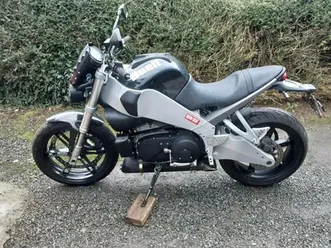 mint buell xb9sx city x cat a or a2