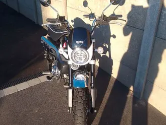 honda monkey