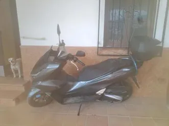 honda - pcx