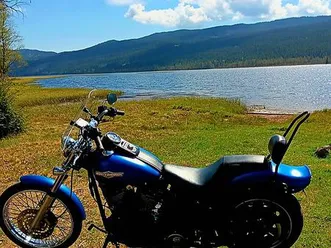 harley-davidson fxst softail standard / custom