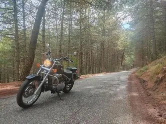 suzuki - intruder vl 250