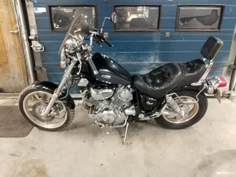 1100 virago