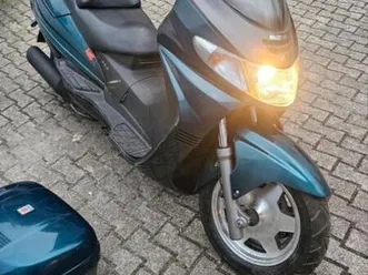 suzuki burgmann 250 ccm