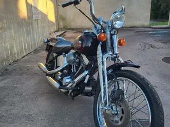 harley davidson softail