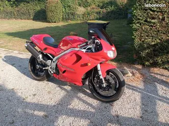 triumph t595 ou échange ducati
