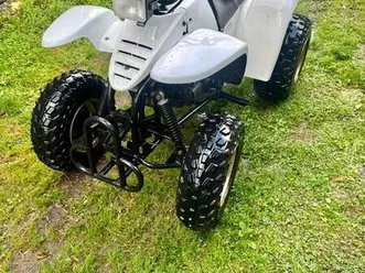 quad 150 lifan