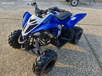 quad yamaha raptor 90
