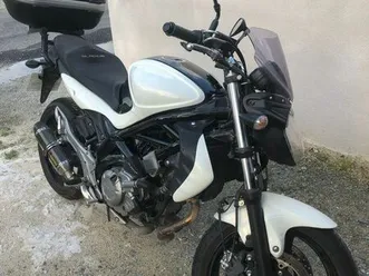 suzuki gladius