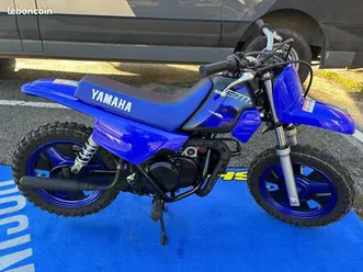 yamaha pw-50-2024