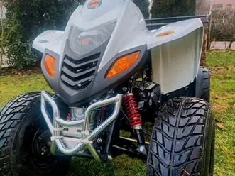 quad 50 adly 50 ccm rückwärtsgang kein mofa roller