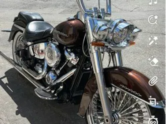 chicanos softail deluxe