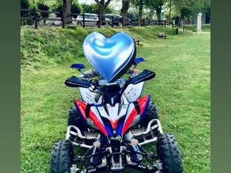 yfm 250r année 2013 homologué