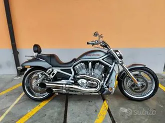 harley-davidson vrscaw v-rod