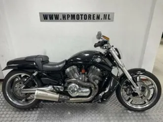 harley davidson vrscf muscle v-rod 1250 abs final edition bo — motoren | harley-davidson — marktplaats