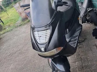 roller 50 ccm peugeot elyseo