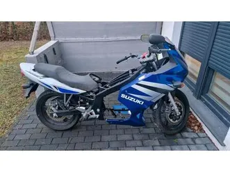 suzuki gs 500 f ohne papiere