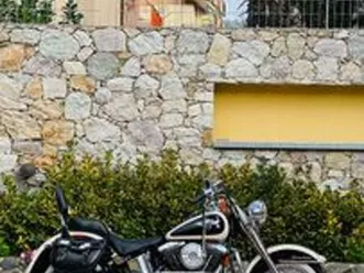 harley-davidson softail heritage - 1993