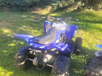 quad yamaha raptor 250 cc