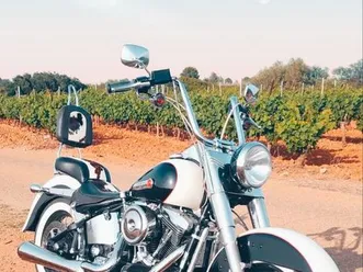 superbe nostalgia 93 série limitée et numérotée