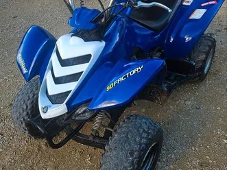 yamaha raptor 50 quad yfm