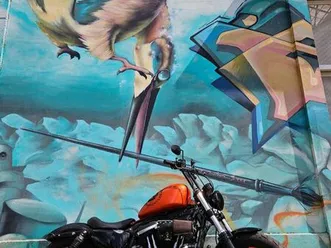 harley davidson 1200 forty eight.2019.4800kms