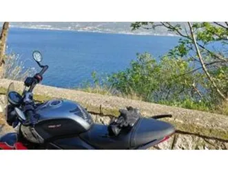 trident 660 (2021 - 24)