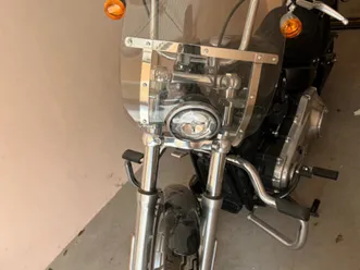 harley-davidson softail →