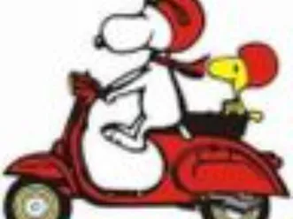 schlachtfest honda pantheon fes 125 2 takt